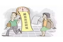 东源要账公司